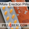 Male Erection Pills 43